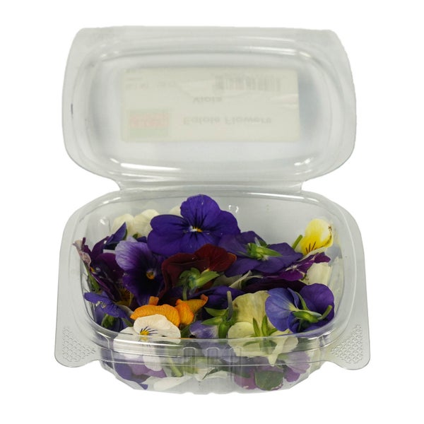 50 CT-PACK OF FLOWER EDIBLE VIOLA