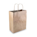50-PACK OF Cosco Premium Natural Twisted-Paper Handles Shopping Bags - 8 x 4 x 10.25 Inches - Brown - 50 Count Box