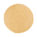 1-PACK OF MUSHROOM CHAMPIGNON EXTR PWDER