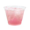 1000-PACK OF CUP COLD PET CLEAR 9 OZ DISPOSABLE