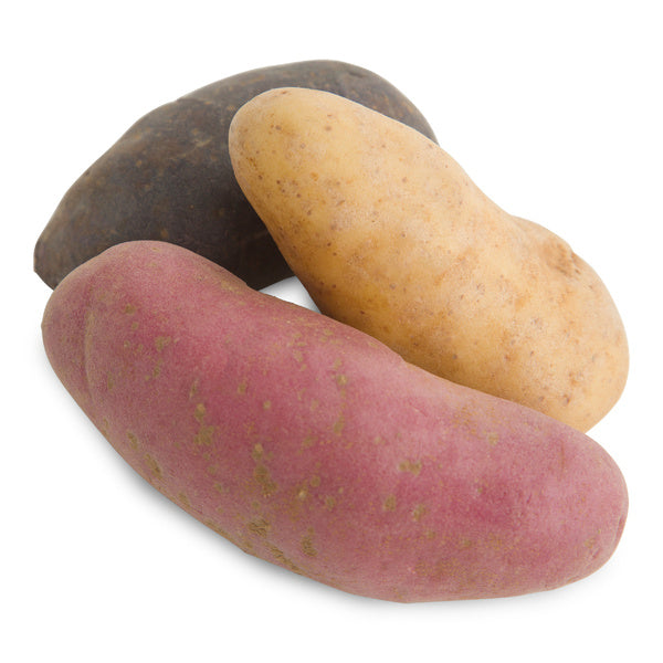10 LB-PACK OF POTATO FRESH FINGERLING MIXED