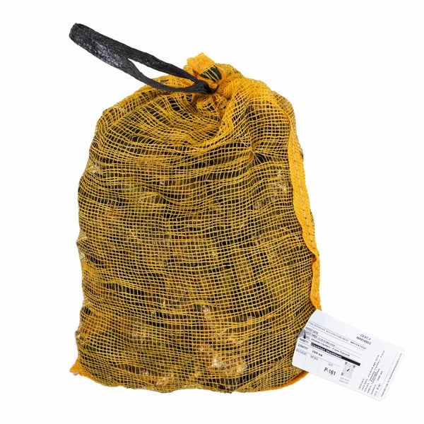 100CT-PACK OF OYSTER INSHELL WELLFLEET PET