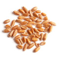 1-PACK OF GRAIN SPCLTY SPELT