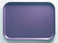 12 CT-PACK OF TRAY FIBERGLASS GRAPE 25.56