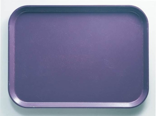 12 CT-PACK OF TRAY FIBERGLASS GRAPE 25.56