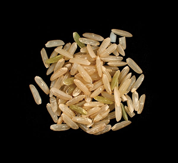 1-PACK OF RICE BRN LONG GRAIN PECAN STYL