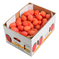 25 LB-PACK OF TOMATO ROMA UTILITY FRESH