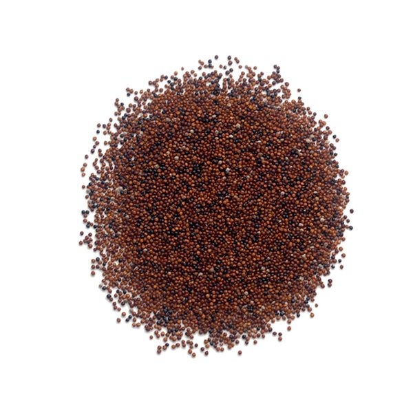 1-PACK OF GRAIN SPCLTY KANIWA ORGANIC