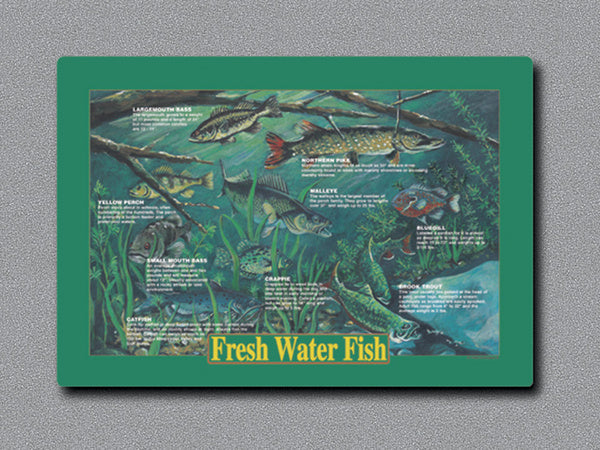 1000-PACK OF PLACEMAT PAPER FRSH WTR FSH