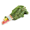 BUNCH-PACK OF CHARD SWISS BRIGHT LIGHTS