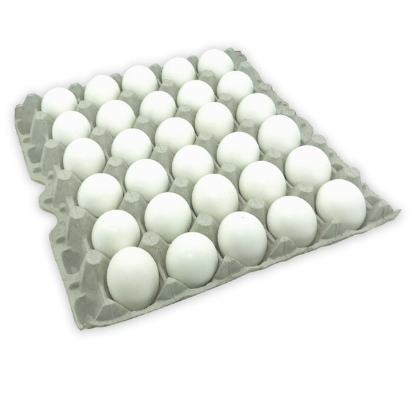 1-PACK OF EGG SHELL LG PASTEURIZED CF
