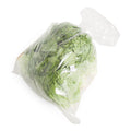6 CT-PACK OF LETTUCE GREEN LEAF FRESH