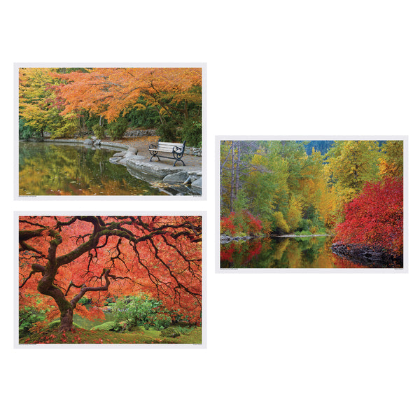 1-PACK OF PLACEMAT 10X14 MULTIPK FALL