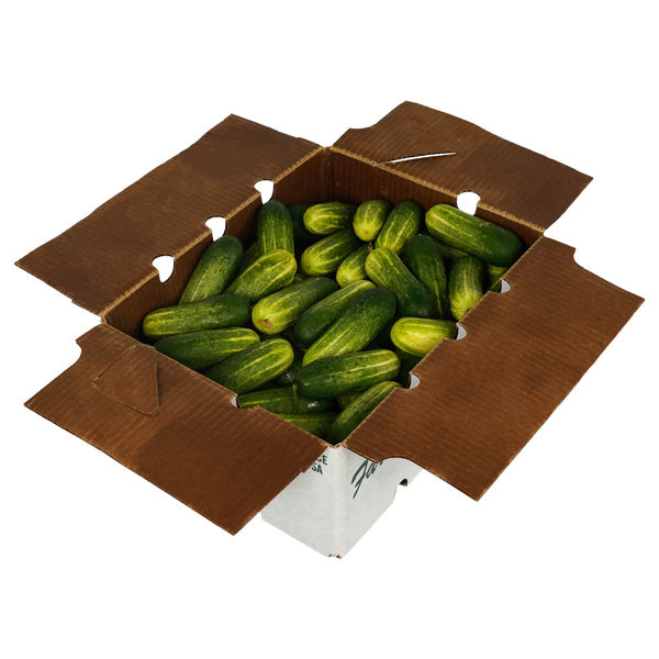 20 LB-PACK OF CUCUMBER PICKLING FRESH