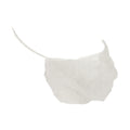 10-PACK OF COVER BEARD NON-WOVEN 18 IN