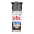 6-PACK OF SALT SEA ANCIENT COARSE