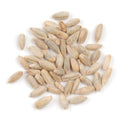 1-PACK OF GRAIN SPCLTY RYE BERRIES