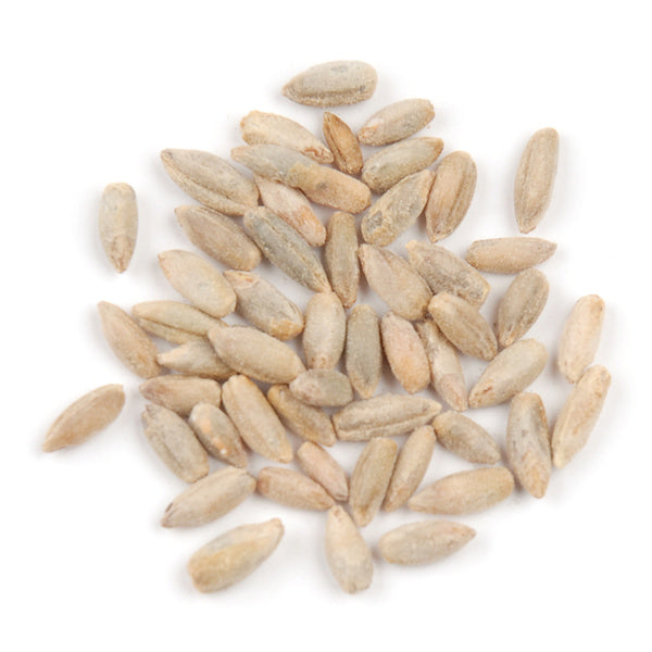 1-PACK OF GRAIN SPCLTY RYE BERRIES