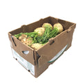 12 CT-PACK OF CELERY ROOT FRSH