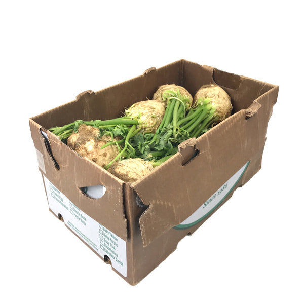 12 CT-PACK OF CELERY ROOT FRSH