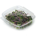 270-PACK OF Container Food 8 oz Compostable PLA GoodGuard Tamper-Evident Clamshell Containers | Good Natured Products | 270 count