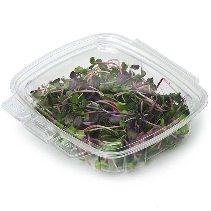 270-PACK OF Container Food 8 oz Compostable PLA GoodGuard Tamper-Evident Clamshell Containers | Good Natured Products | 270 count