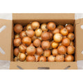 25 LB-PACK OF ONION YELLOW MEDIUM BOX