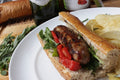 3.2 OZ-PACK OF SAUSAGE VENISON BLUBRY