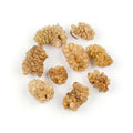 2-PACK OF Mulberry Dried White - 5 lb