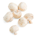 5 LB-PACK OF MUSHROOM MEDIUM FRESH