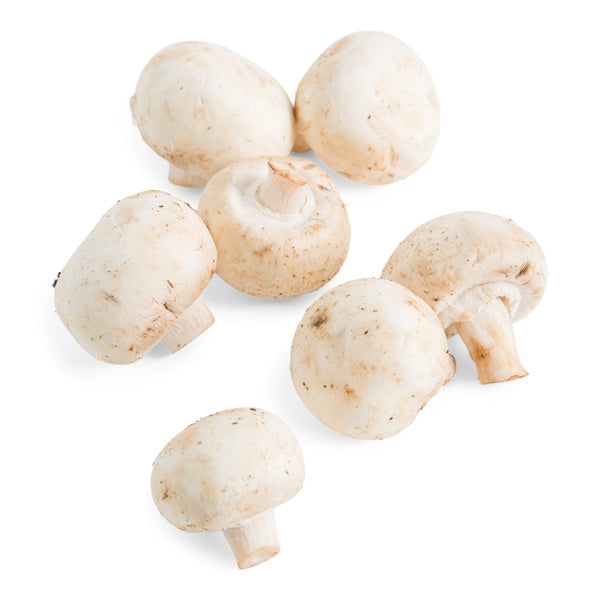 5 LB-PACK OF MUSHROOM MEDIUM FRESH