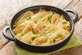 12 CT-PACK OF ANISE BUNCH FRESH FENNEL