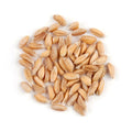 1-PACK OF GRAIN SPCLTY FARRO ORGANIC
