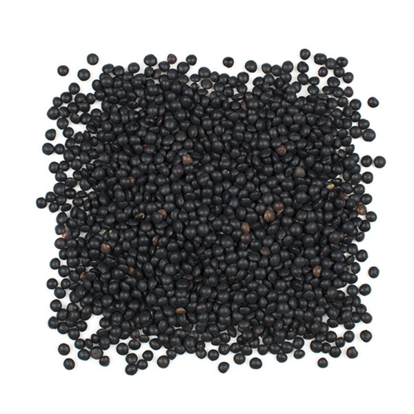 1-PACK OF BEAN LENTIL DRIED BLCK BELUGA