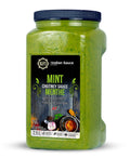 2-PACK OF CHUTNEY MINT- Mint Chutney 2 x 95.5 oz