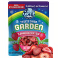 12-PACK OF Strawberry Slices Freeze Dried Organic (100% Fruit), Arctic Farms