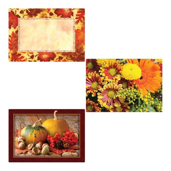 1000-PACK OF PLACEMAT ASST 3 DSGNS AUTMN DY