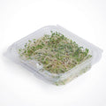 312-PACK OF Container Food 8 oz Compostable PLA Simply Secure Multi-purpose Containers | Good Natured Products | 312 count
