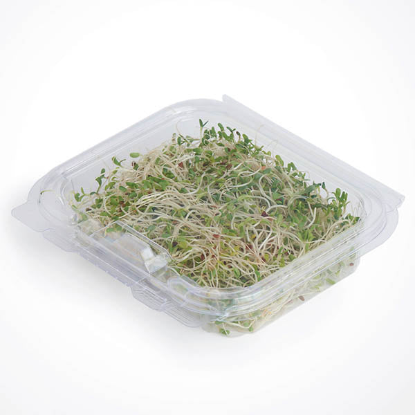312-PACK OF Container Food 8 oz Compostable PLA Simply Secure Multi-purpose Containers | Good Natured Products | 312 count