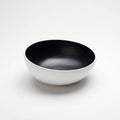 1 EA-PACK OF BOWL PLASTIC ANGLD BW 40 OZ