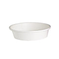 1-PACK OF CONTAINER DISP WHITE BUCKATY