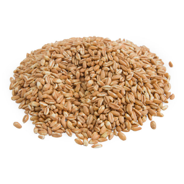 6-PACK OF GRAIN SPECIALTY FARRO ITAL