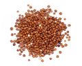 1-PACK OF GRAIN SPECIALTY QUINOA RED