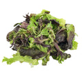 3 LB-PACK OF LETTUCE ORGANIC ARCADIAN HRVST