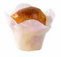 10-PACK OF CUP BAKING WHT SILCN LOTU 4 OZ