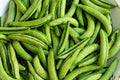 8-PACK OF Snack Dried Vegetables Snap Peas (Sea Salt) TERRALAND, Coaslink Corp