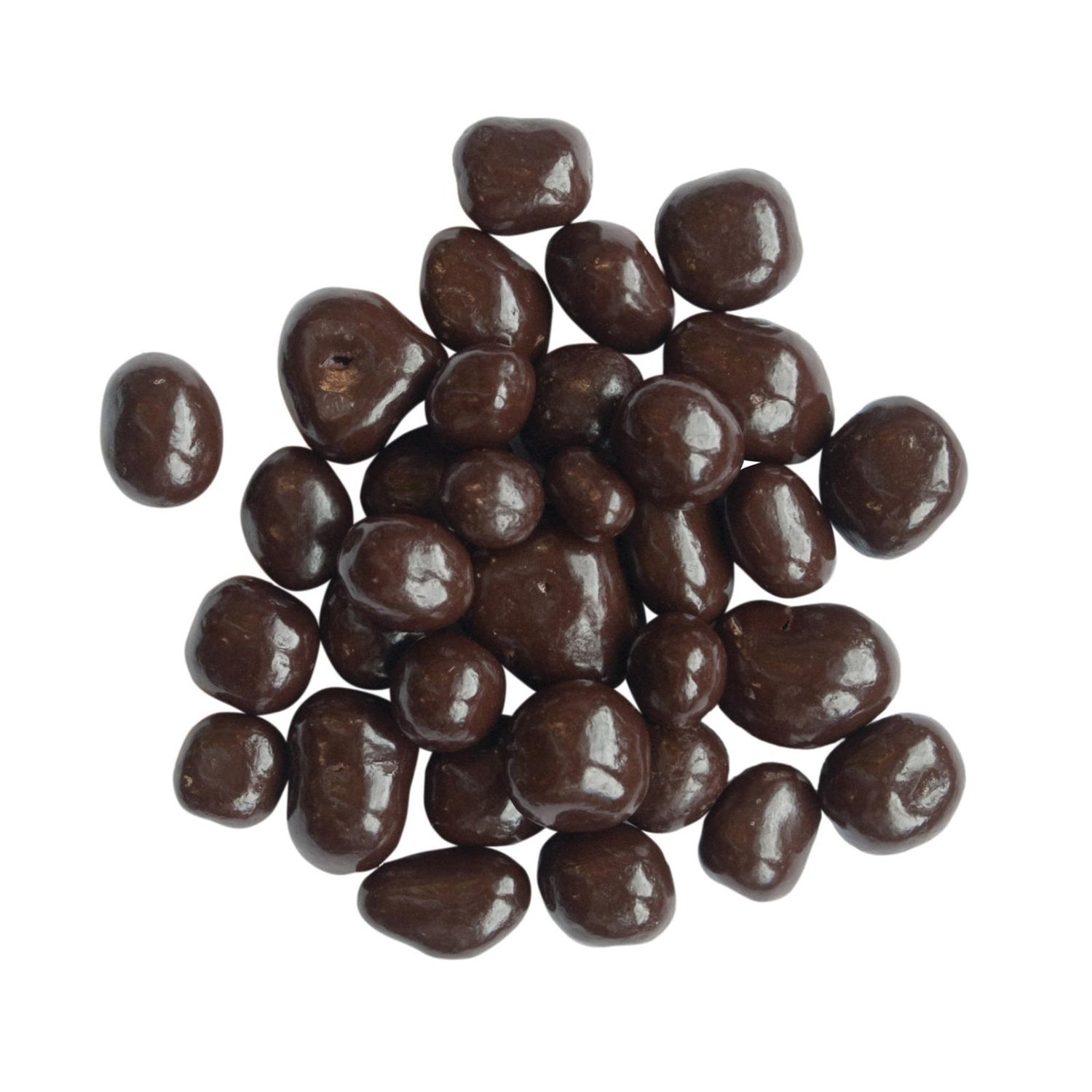 15-PACK OF SPICE GINGER DARK CHOCOLATE