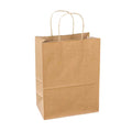 250-PACK OF BAG FOOD PAPER SHOPPER (COMPARE TO DURO TEMPO) 8 X 10.2 X 4.5 INCH