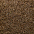 1-PACK OF SPICE CUMIN SEEDS WILD MTN