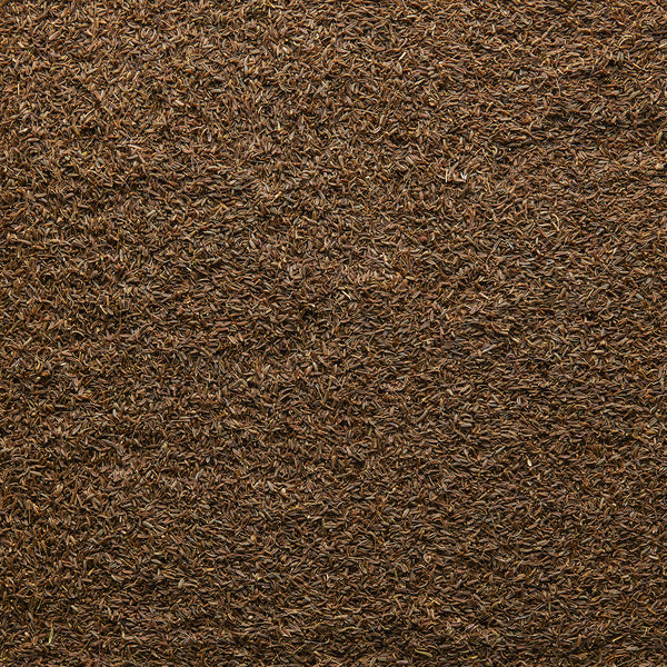 1-PACK OF SPICE CUMIN SEEDS WILD MTN